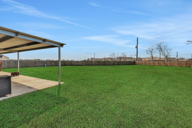 view of yard featuring a patio