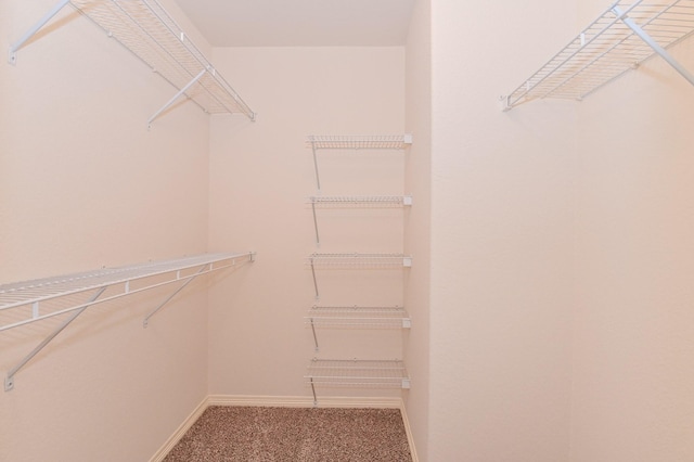 spacious closet with carpet