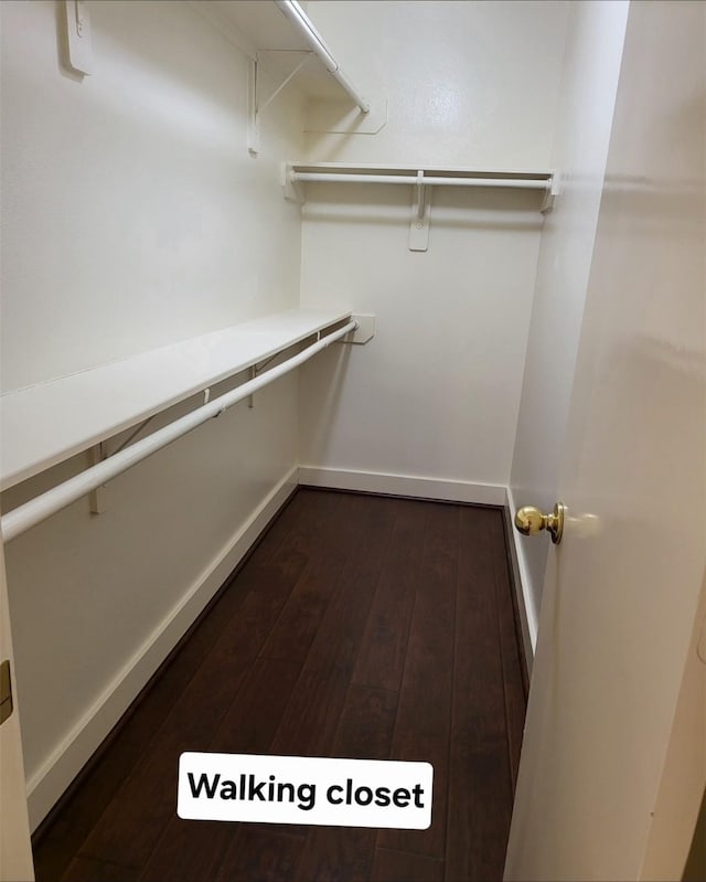 walk in closet featuring dark hardwood / wood-style floors