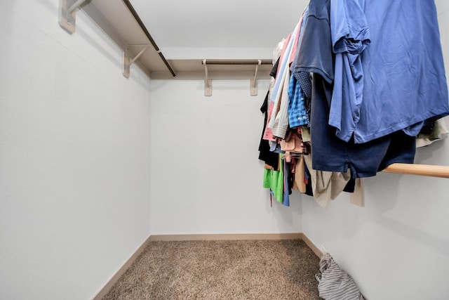 walk in closet featuring carpet