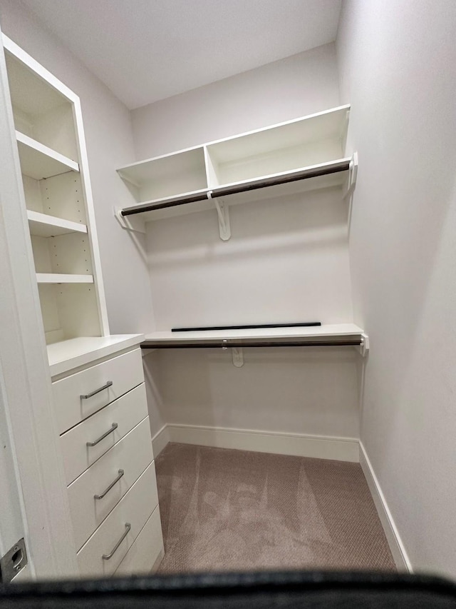 spacious closet with carpet floors