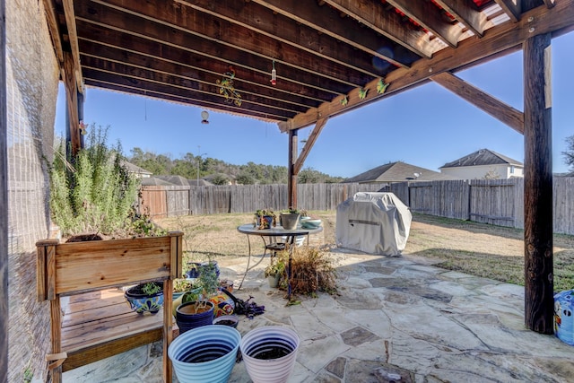 view of patio / terrace with area for grilling