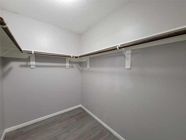 spacious closet with hardwood / wood-style flooring