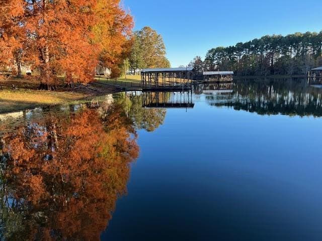 water view featuring a dock