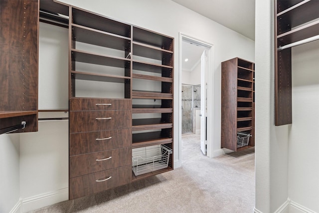 spacious closet featuring light carpet