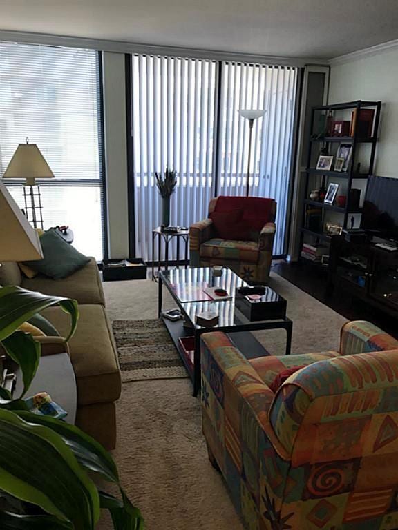 living room with ornamental molding, a healthy amount of sunlight, and carpet floors