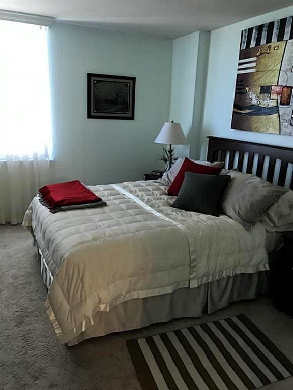 carpeted bedroom with multiple windows