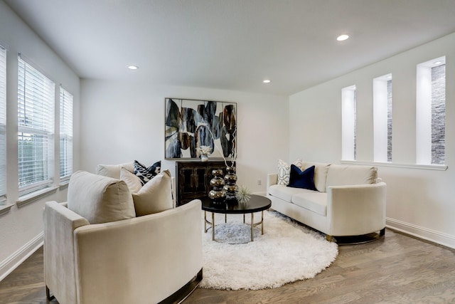 living room featuring hardwood / wood-style floors