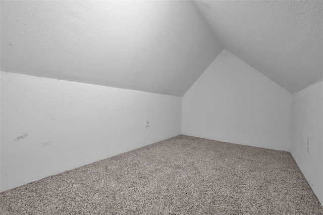 additional living space featuring lofted ceiling, carpet floors, and a textured ceiling