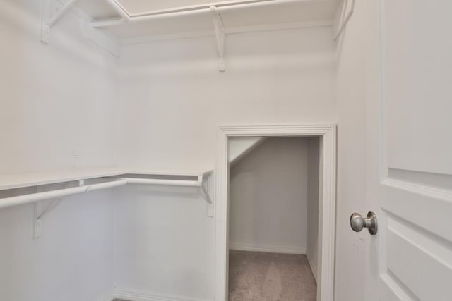 spacious closet featuring carpet floors