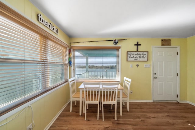 dining area featuring hardwood / wood-style flooring