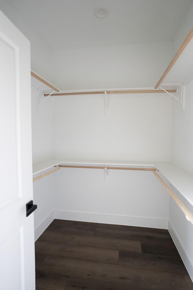 spacious closet featuring dark hardwood / wood-style floors