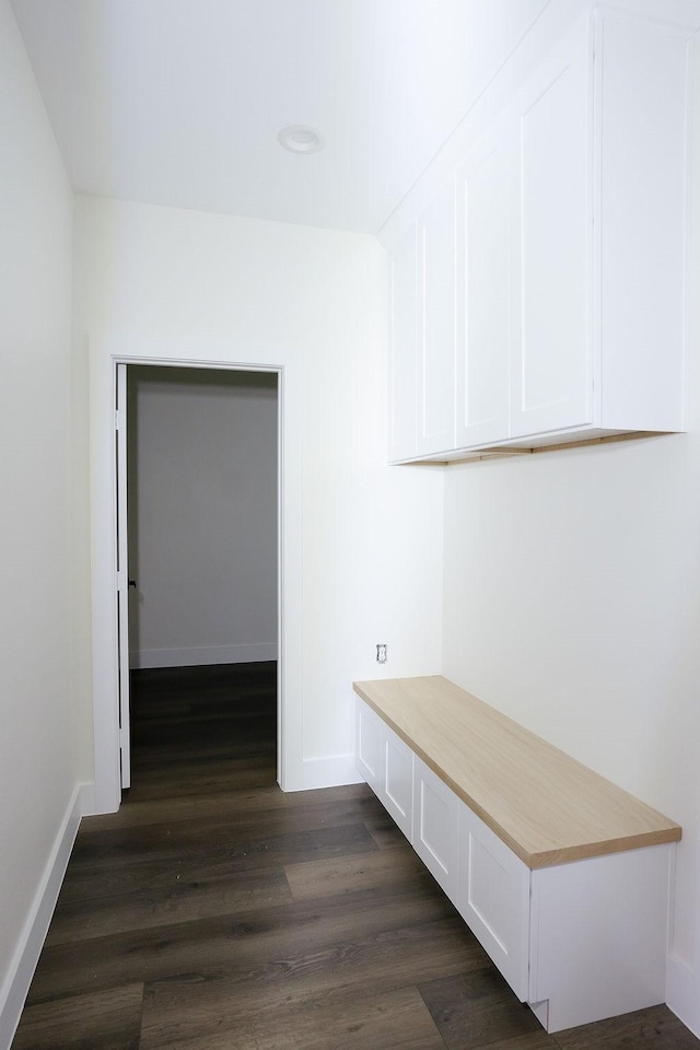 mudroom featuring dark hardwood / wood-style floors