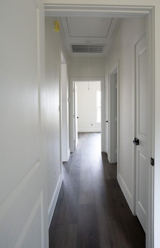 corridor featuring dark hardwood / wood-style floors