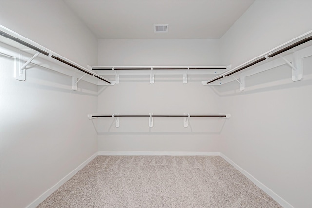 spacious closet featuring carpet floors