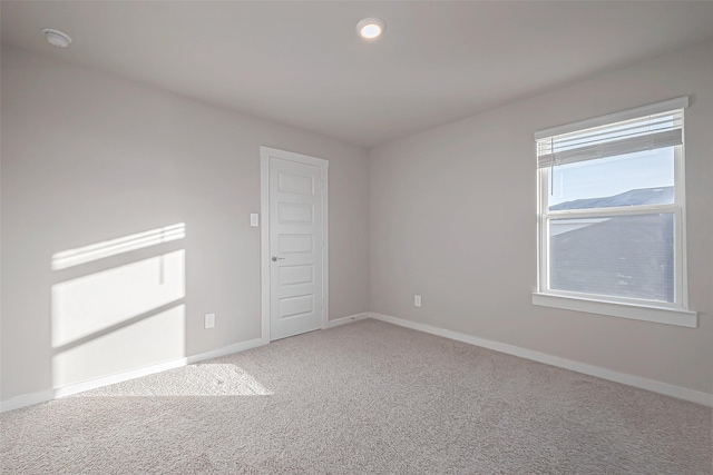 spare room featuring carpet floors