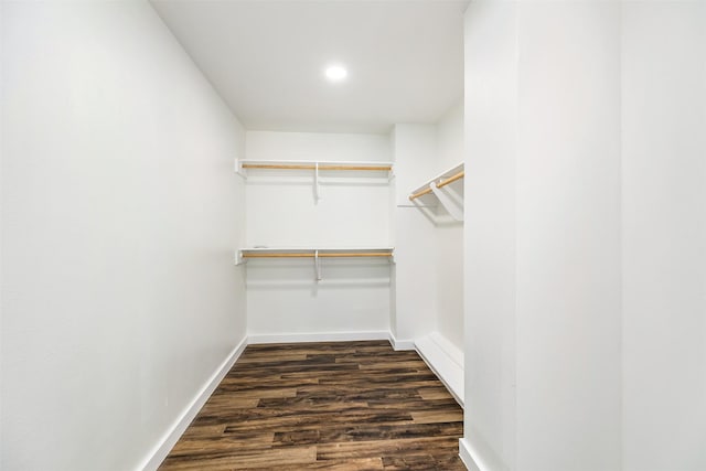 walk in closet featuring dark hardwood / wood-style floors