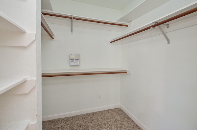 spacious closet with carpet floors