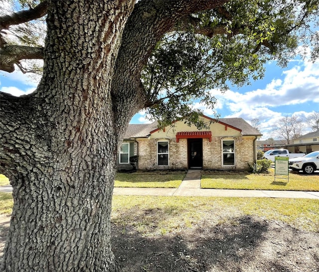 view of front of home featuring a front lawn