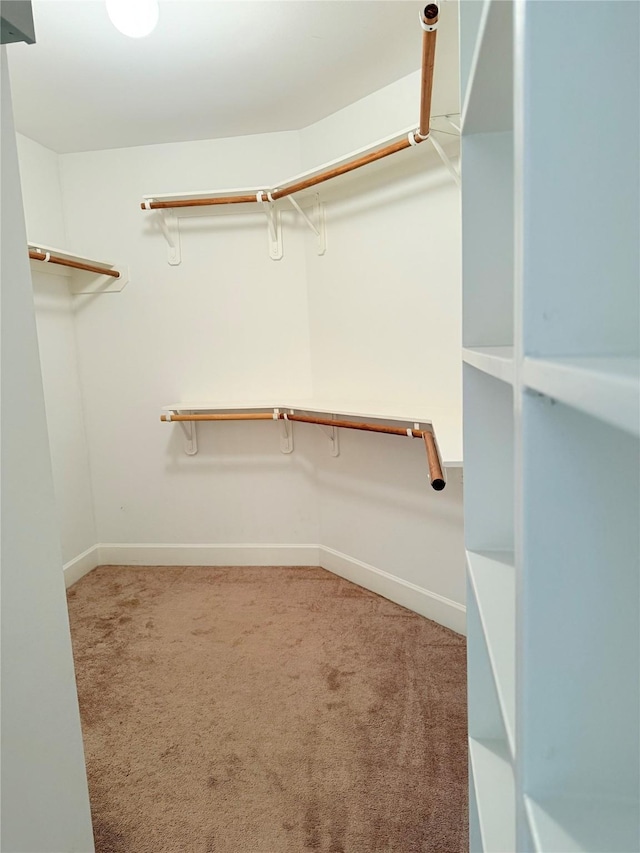 walk in closet featuring light colored carpet