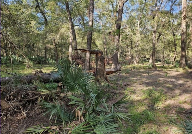 TBD Brown Rd, Cleveland, TX 77328 - photo 13
