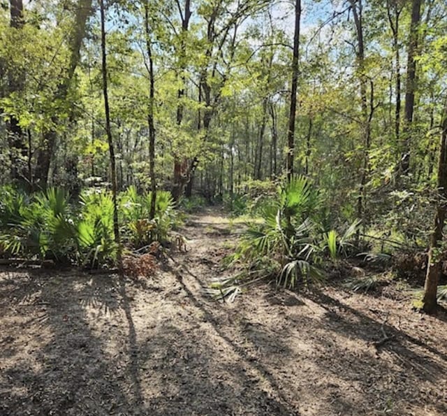 Listing photo 3 for TBD Brown Rd, Cleveland TX 77328