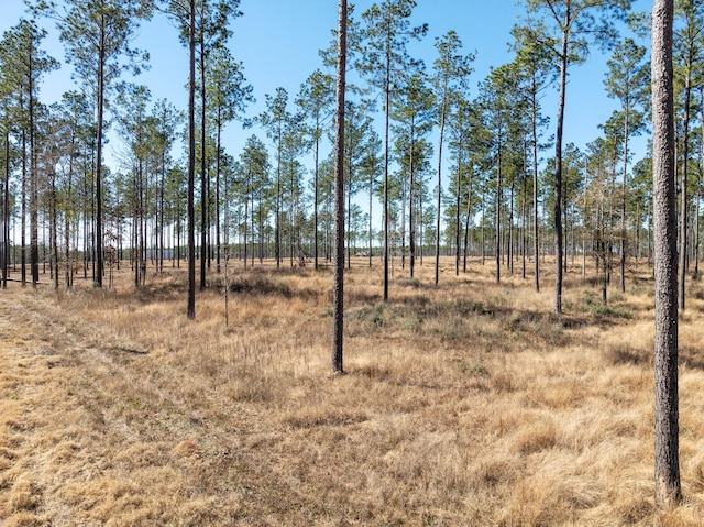 Listing photo 2 for TBD Red Lowe Rd, Livingston TX 77351