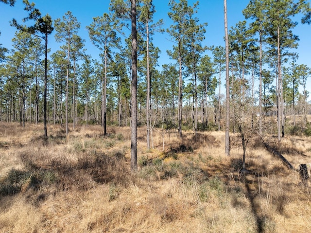 Listing photo 3 for TBD Red Lowe Rd, Livingston TX 77351