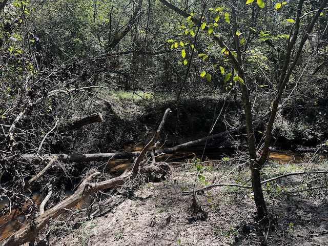 TBD Magnolia Rd, Cleveland, TX 77328