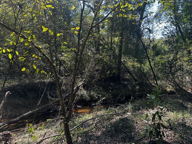 TBD Magnolia Rd, Cleveland, TX 77328