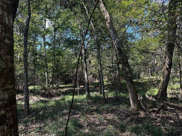 TBD Magnolia Rd, Cleveland, TX 77328