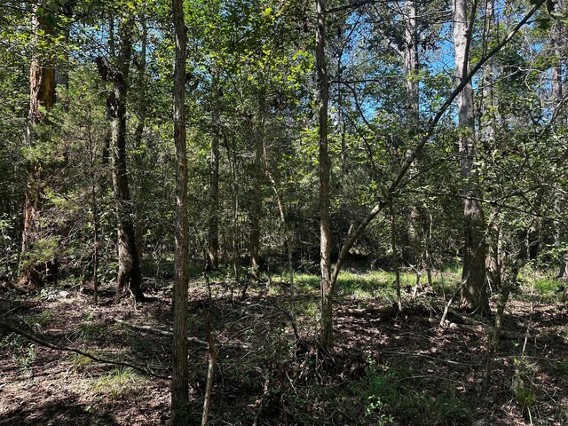 TBD Magnolia Rd, Cleveland, TX 77328