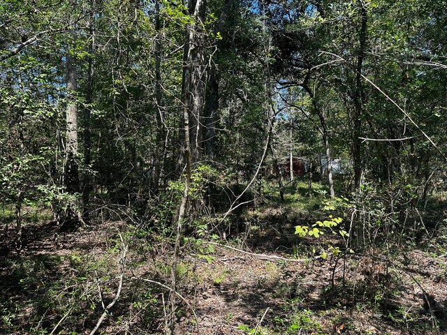 TBD Magnolia Rd, Cleveland, TX 77328