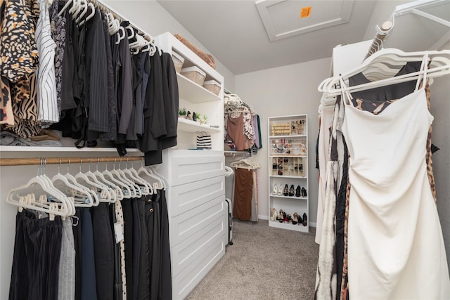 spacious closet with light carpet