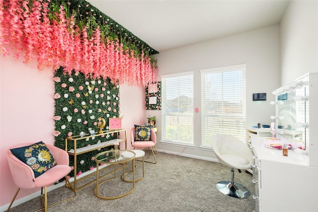 office area featuring carpet flooring