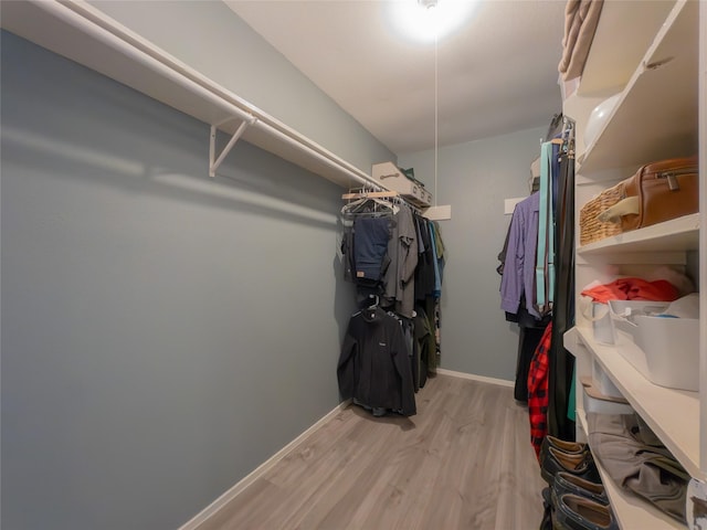 spacious closet featuring light wood-type flooring