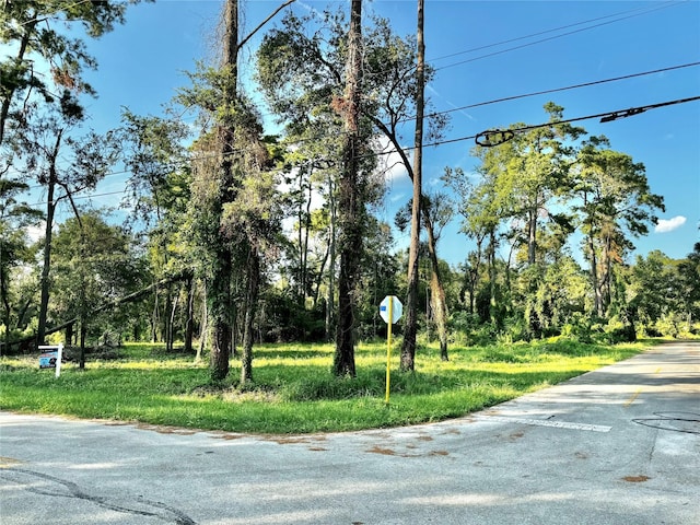 0 Creek Wood Dr, Spring TX, 77389 land for sale