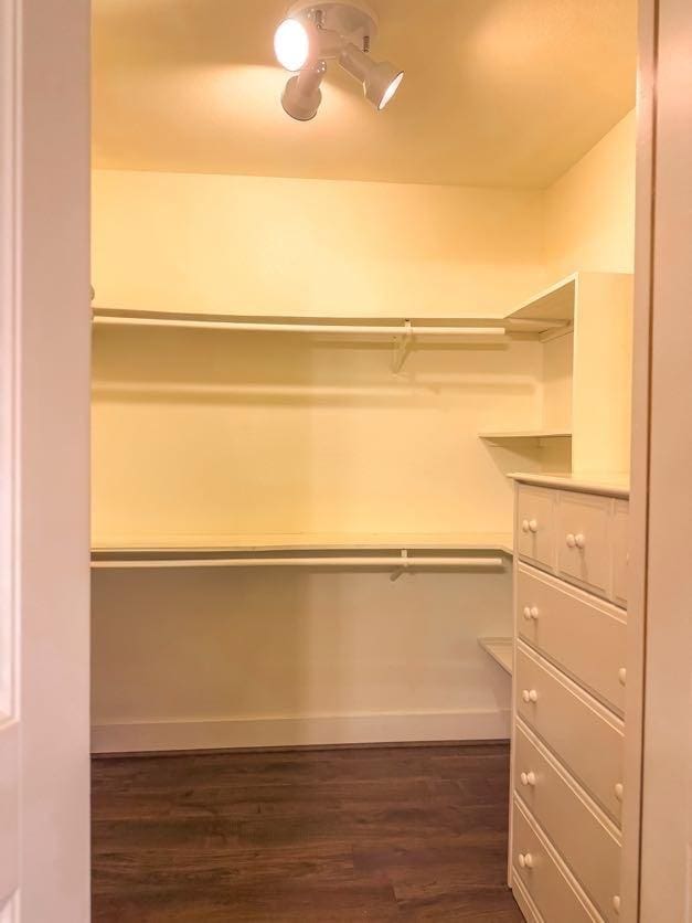 spacious closet featuring dark wood-type flooring