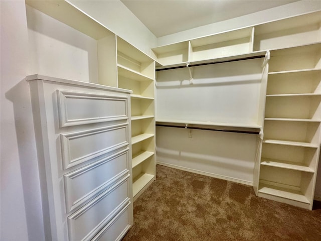 spacious closet with dark colored carpet