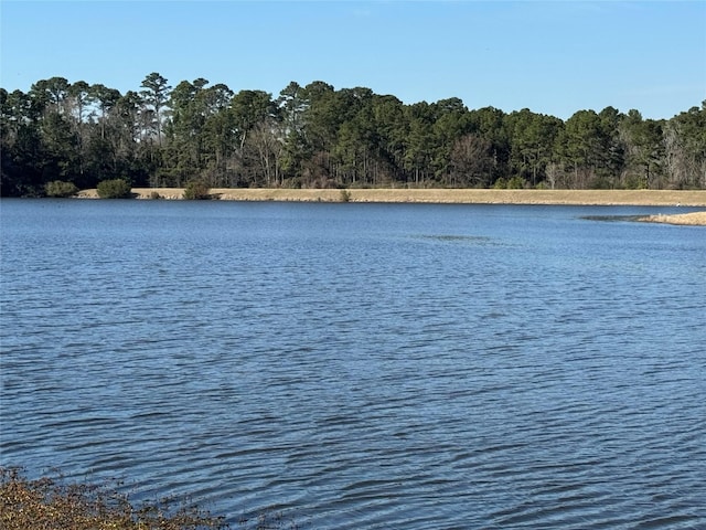 property view of water featuring a view of trees