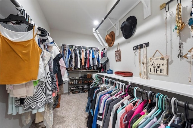 spacious closet featuring carpet floors