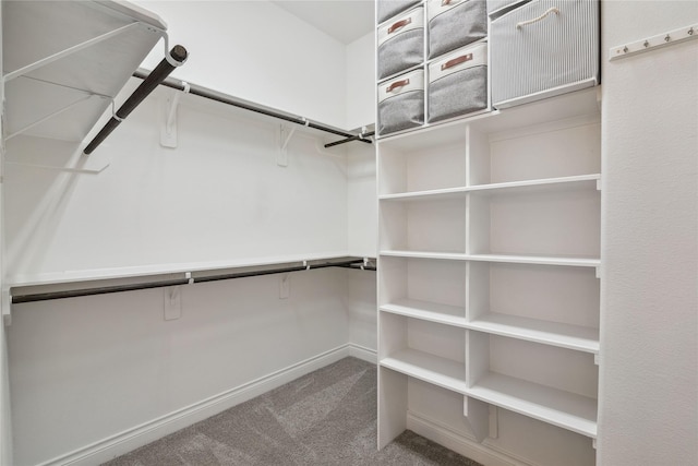 spacious closet with carpet