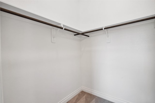 spacious closet featuring carpet flooring