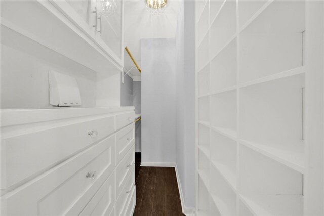 walk in closet featuring dark wood-type flooring