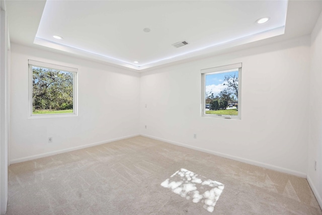 unfurnished room featuring a wealth of natural light, light colored carpet, and a raised ceiling