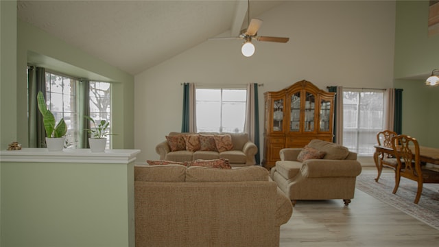 living room with beamed ceiling, light hardwood / wood-style floors, and a wealth of natural light