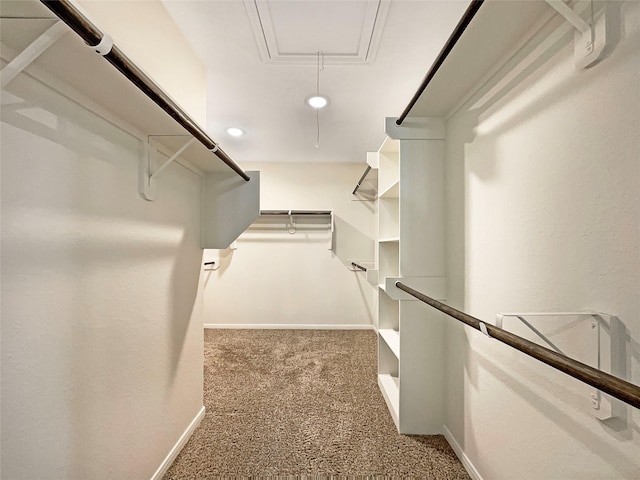 spacious closet with carpet