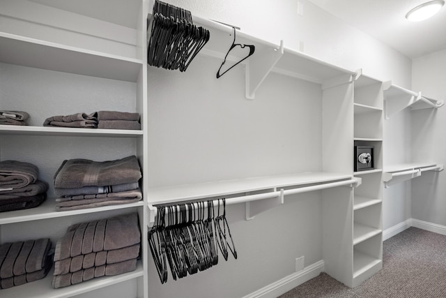 walk in closet featuring carpet floors