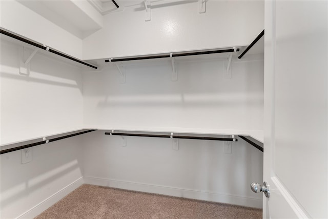 spacious closet with light colored carpet