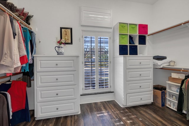 spacious closet featuring dark wood-type flooring